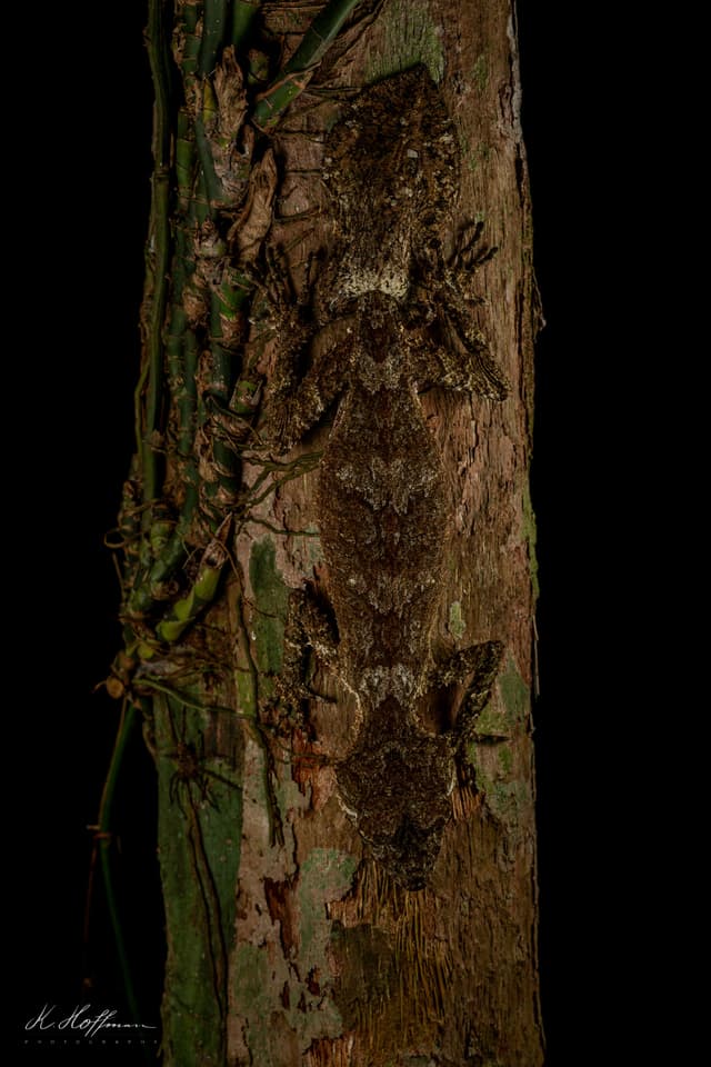 Image 24